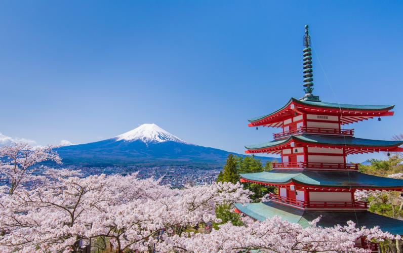 Luxury Japan Cruise – 13 Nts from £11,199pp