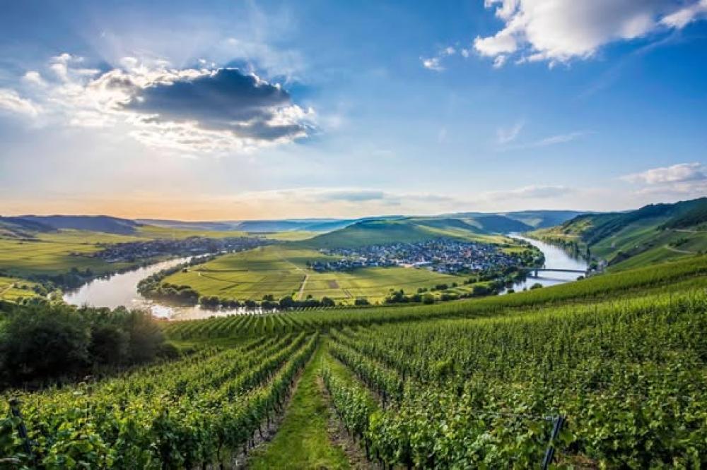 The Rhine & Moselle 5* River Cruise w/Drinks Package