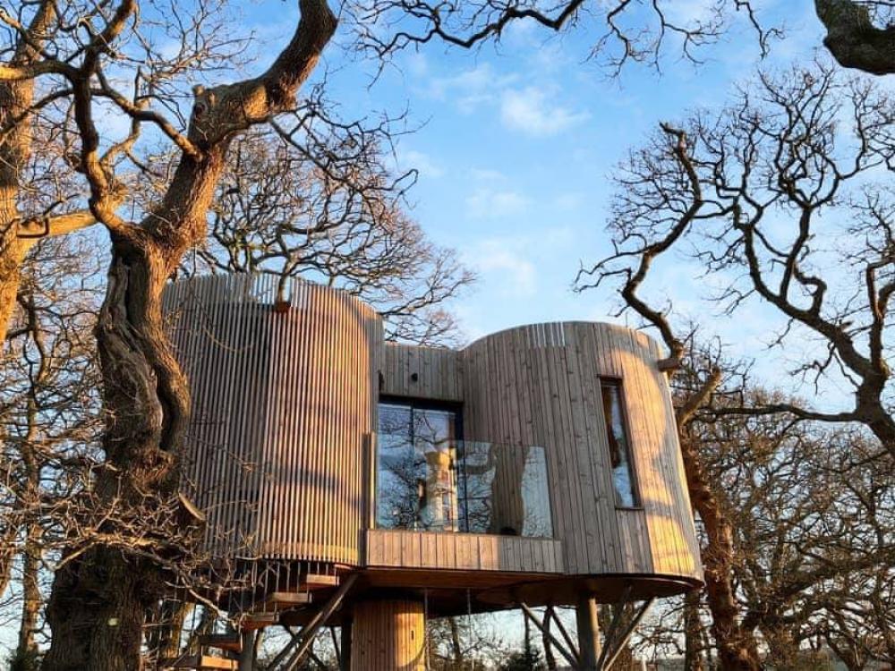 Scotland: A Truly Unique Treehouse w/Stunning Views