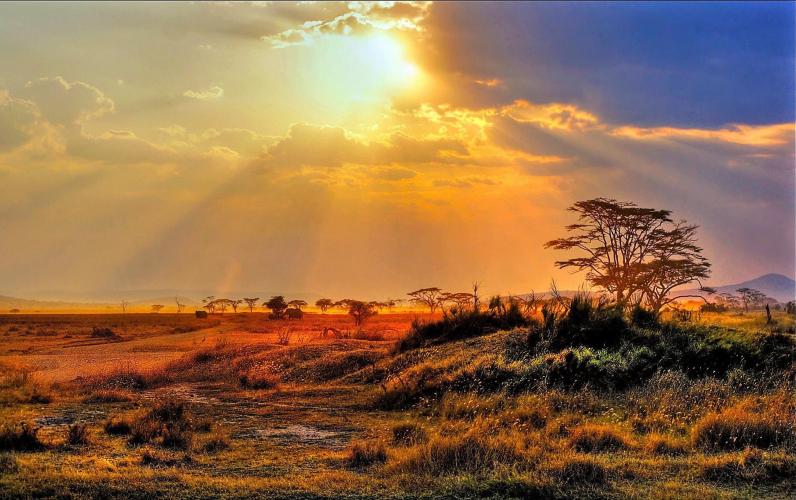 Kruger Safari & South Africa Tour – 2028 Now On Sale