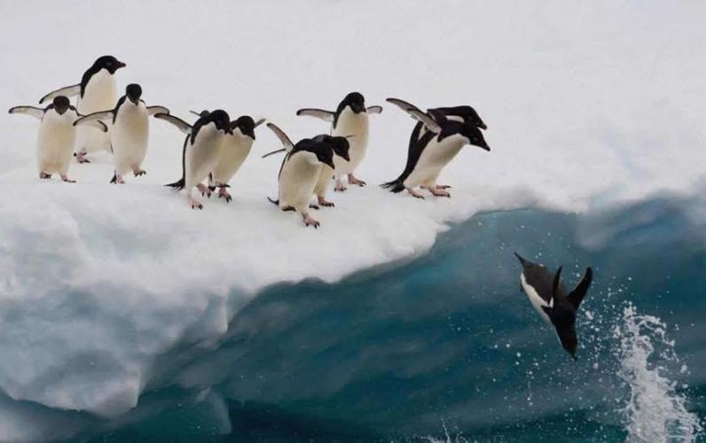 2028 Bucket List Trip Of A Lifetime - 14 Nt Antarctica Cruise