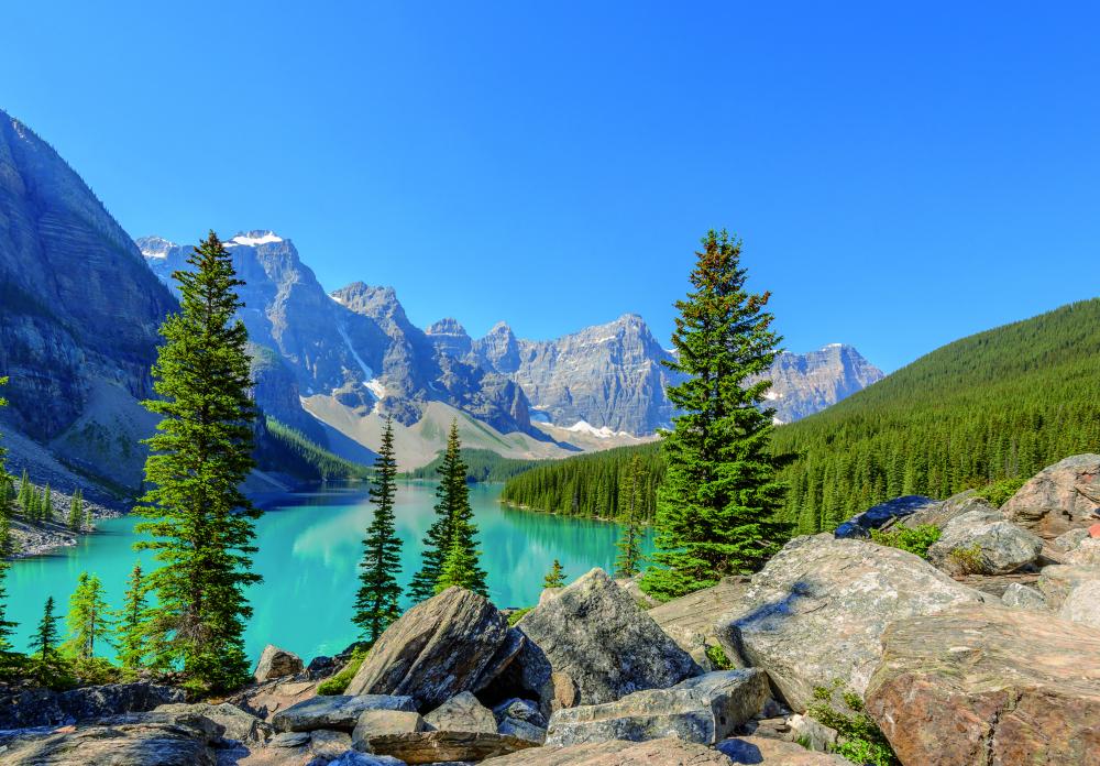 Deluxe Alaskan Voyage & Rocky Mountaineer