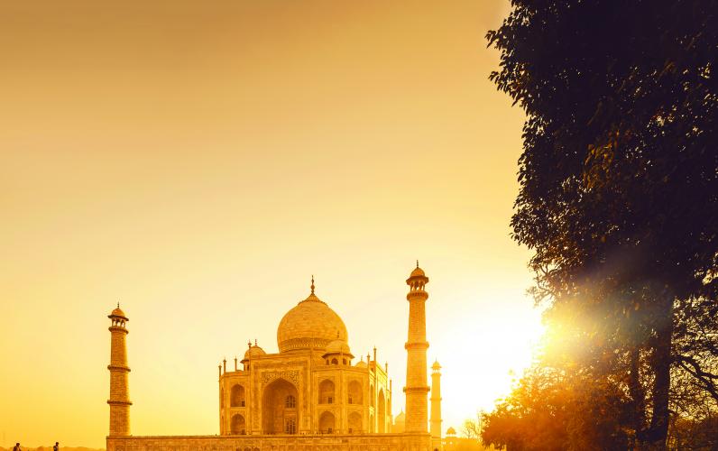 India's Golden Triangle & Ranthambore National Park