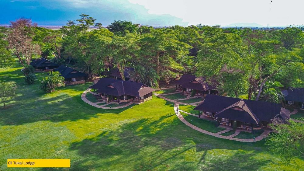 Kenya's Big Five Safari