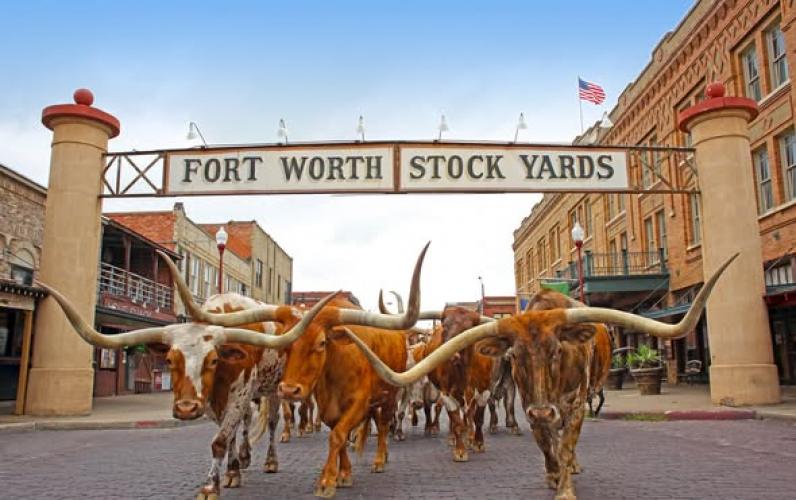 Texas, Presley’s Memphis & New Orleans Tour